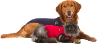 Medical Pet Shirt (MPS) | Schutz Body
