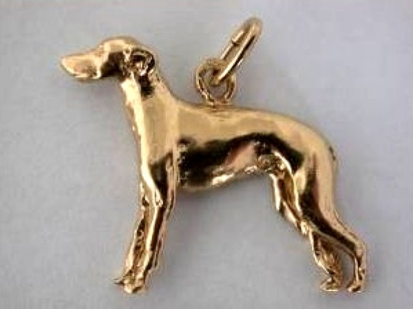 Greyhound Anhänger Silber vergoldet
